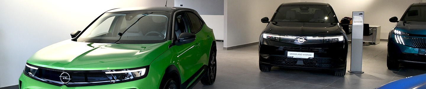 Opel Budmat Auto Toruń - Olimpijska 8